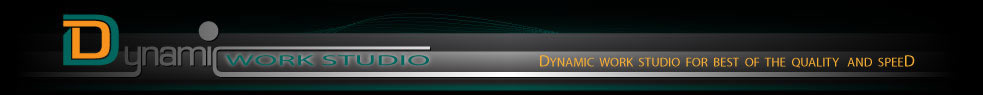 www.dynamicwork.net