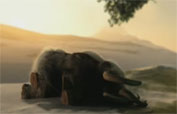 discovery-animation-dinosour