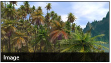 vue-environment